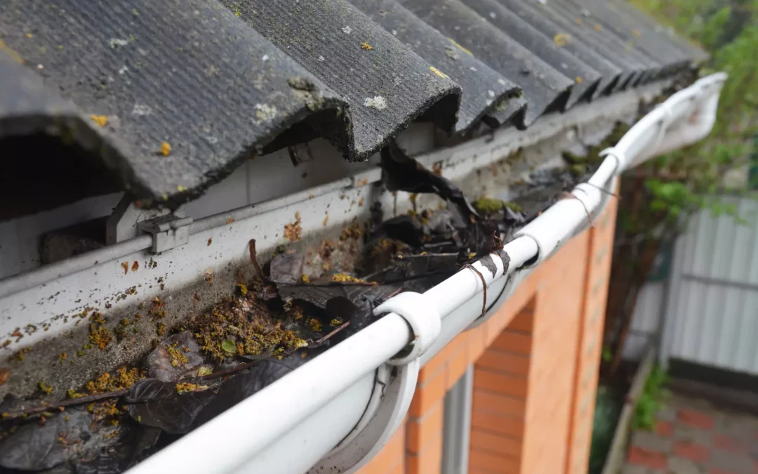 Entretien des gouttières à Joinville-le-Pont : Un élément clé de votre toiture