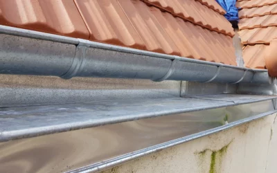 Réparation de chéneaux en zinc à Joinville-le-Pont