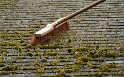 Démoussage de toiture à Joinville-le-Pont
