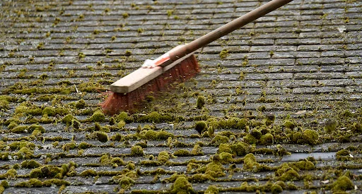 Démoussage de toiture à Joinville-le-Pont