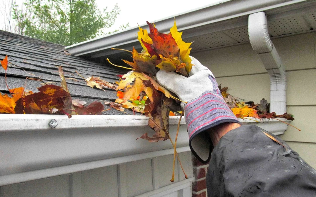 Nettoyage de gouttières à Joinville-le-Pont